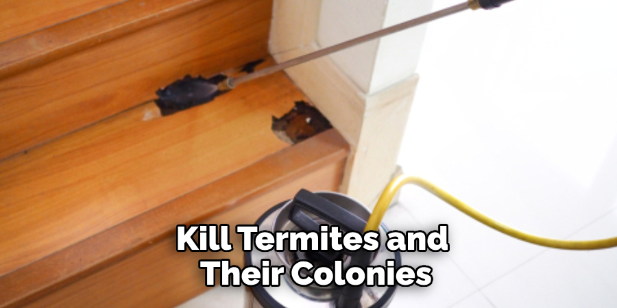 Kill Termites and Their Colonies