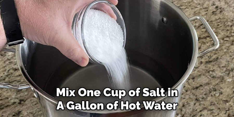 Mix One Cup of Salt in A Gallon of Hot Water