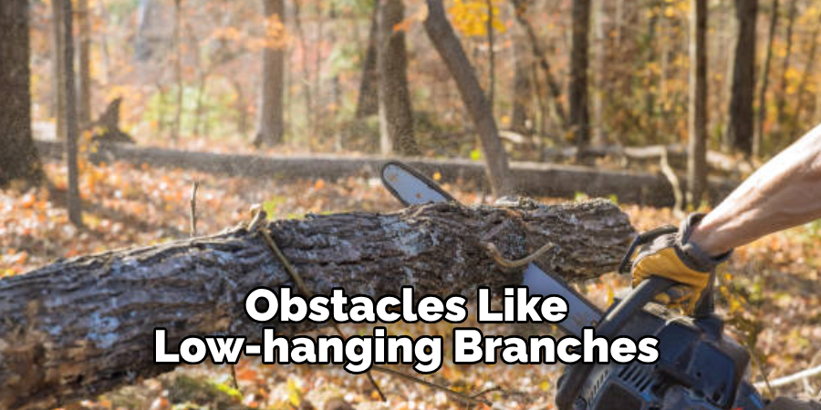 Obstacles Like Low-hanging Branches 