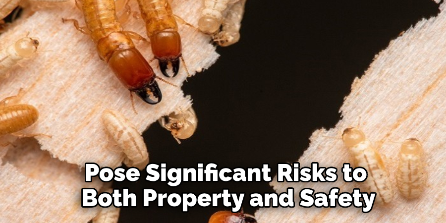 Pose Significant Risks to Both Property and Safety