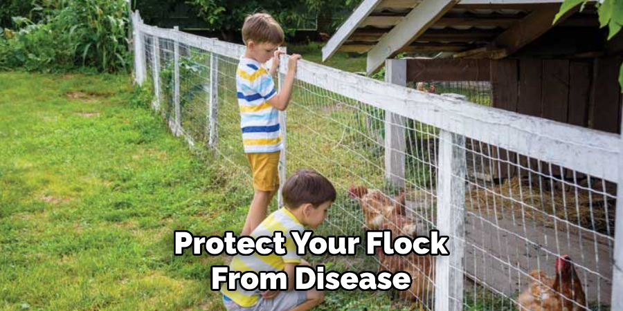 Protect Your Flock From Disease