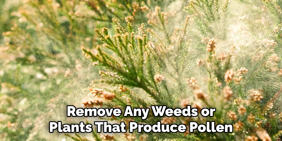 Remove Any Weeds or Plants That Produce Pollen