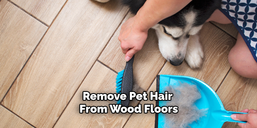 Remove Pet Hair From Wood Floors