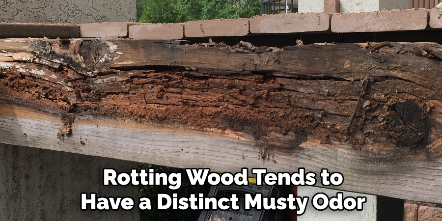 Rotting Wood Tends to Have a Distinct Musty Odor