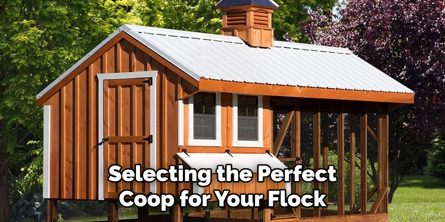 Selecting the Perfect Coop for Your Flock