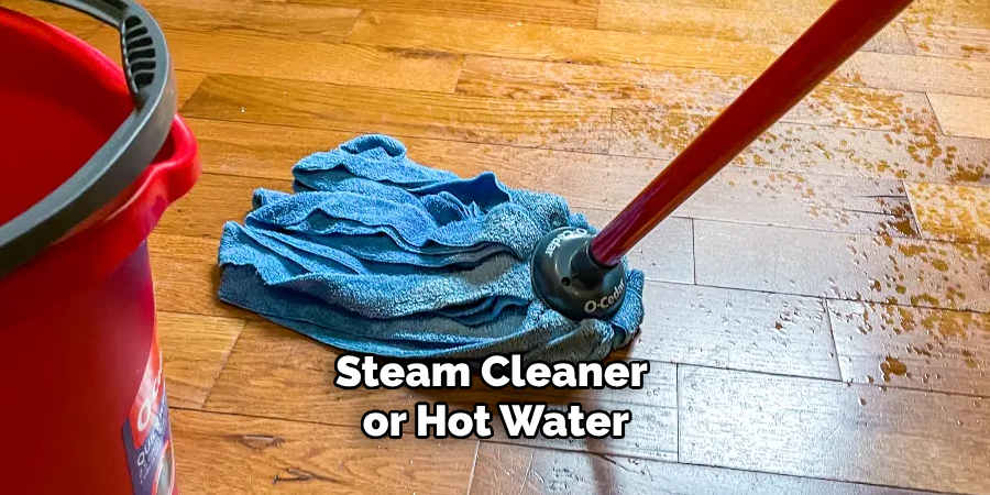 Steam Cleaner or Hot Water