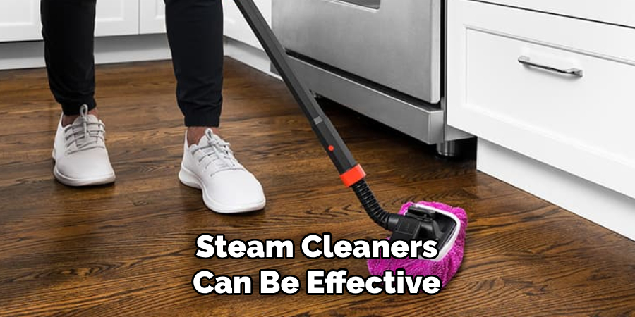 Steam Cleaners Can Be Effective