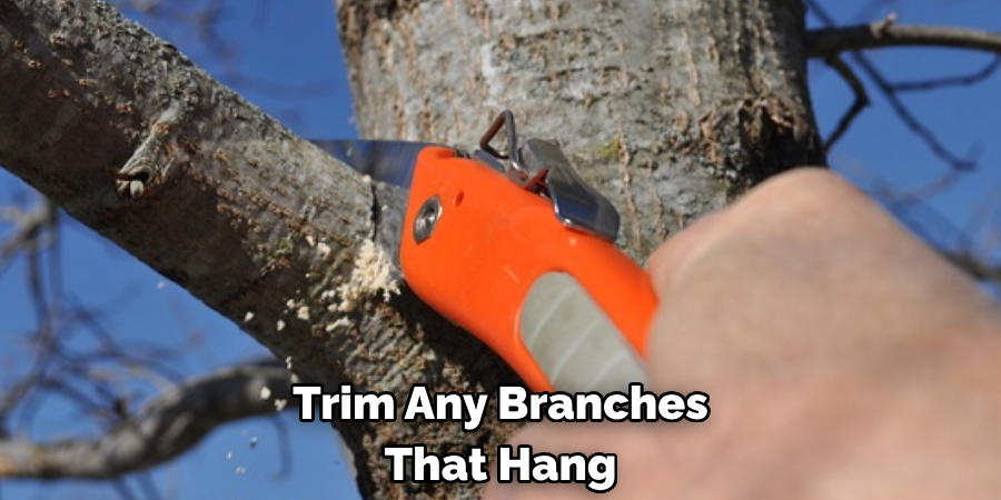 Trim Any Branches That Hang