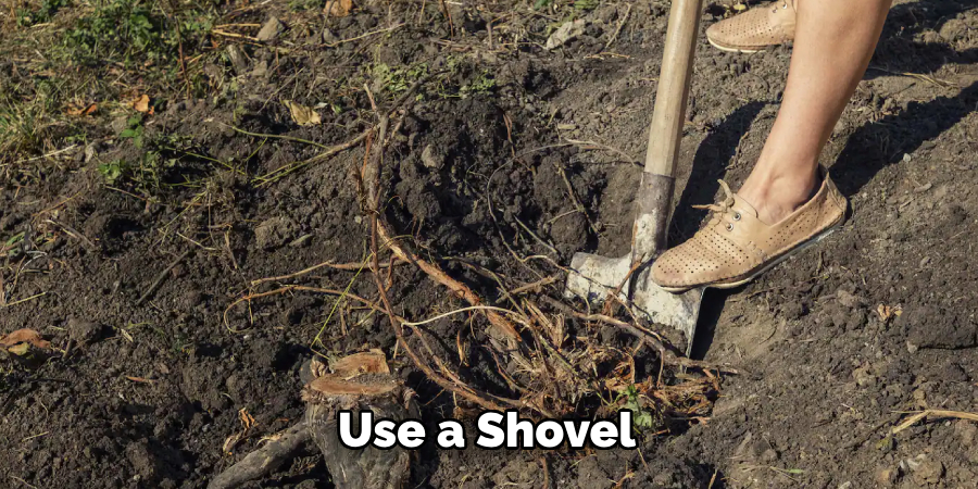 Use a Shovel