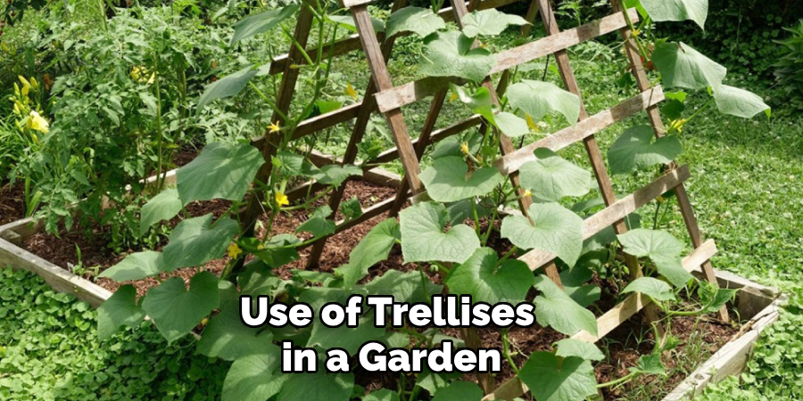 Use of Trellises in a Garden