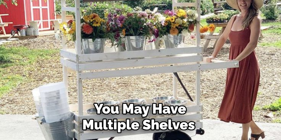 You May Have Multiple Shelves 