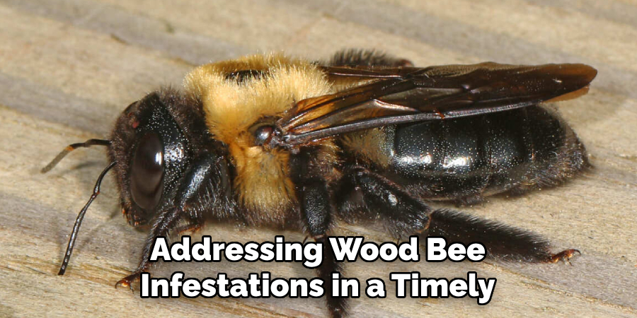 Addressing Wood Bee Infestations in a Timely