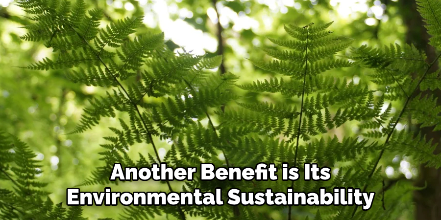 Another Benefit is Its Environmental Sustainability