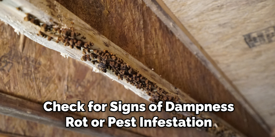 Check for Signs of Dampness Rot or Pest Infestation