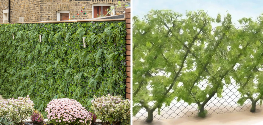 How to Hide a Fence