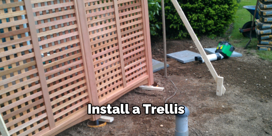 Install a Trellis