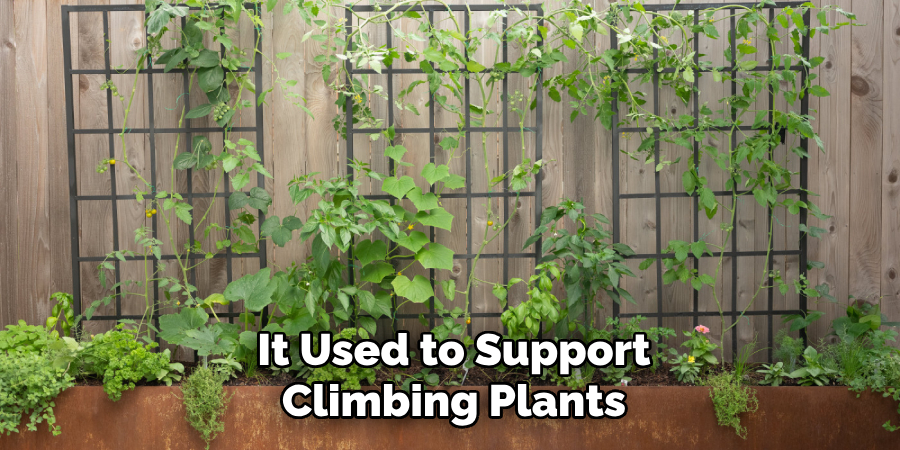It Used to Support Climbing Plants