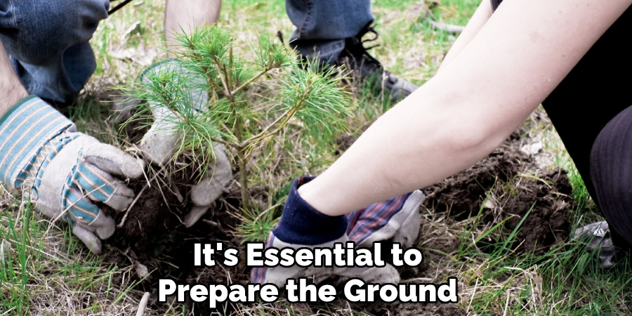 It's Essential to Prepare the Ground