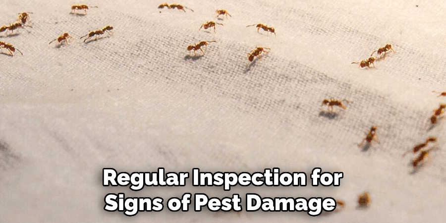 Regular Inspection for Signs of Pest Damage 