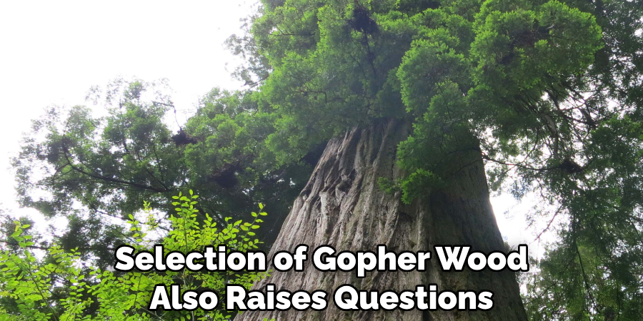 What Is Gopher Wood | 3 Easy Theories (2025)