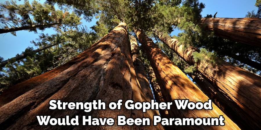 Strength of Gopher Wood Would Have Been Paramount