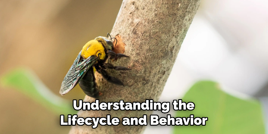 Understanding the Lifecycle and Behavior