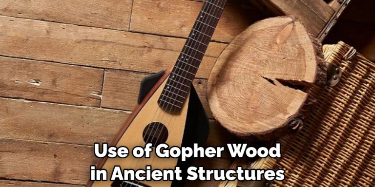 What Is Gopher Wood | 3 Easy Theories (2025)