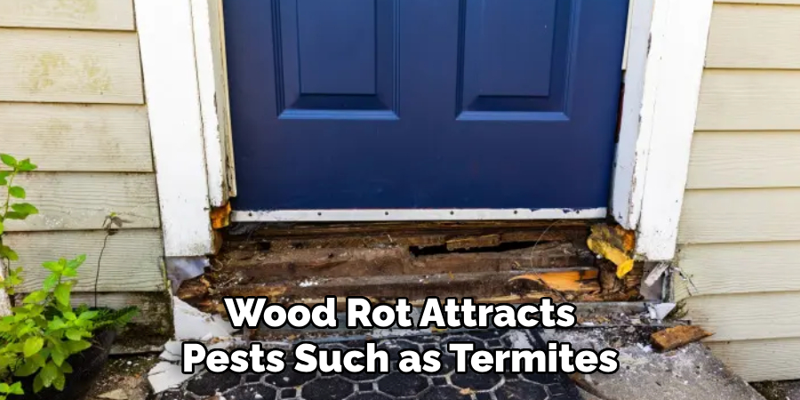 Wood Rot Attracts Pests Such as Termites