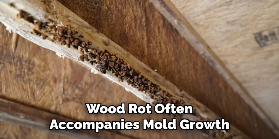 Wood Rot Often Accompanies Mold Growth