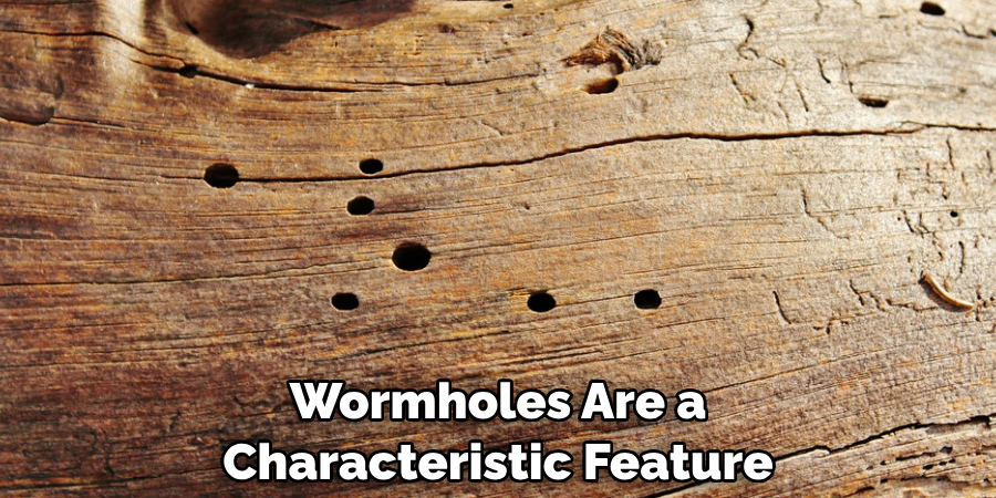 Wormholes Are a Characteristic Feature