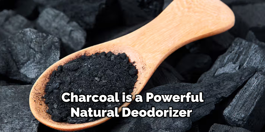 Charcoal is a Powerful Natural Deodorizer