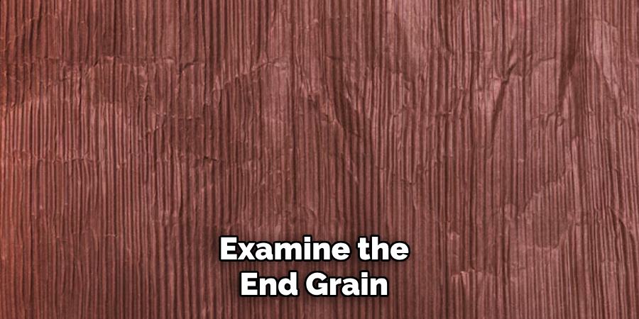 Examine the End Grain
