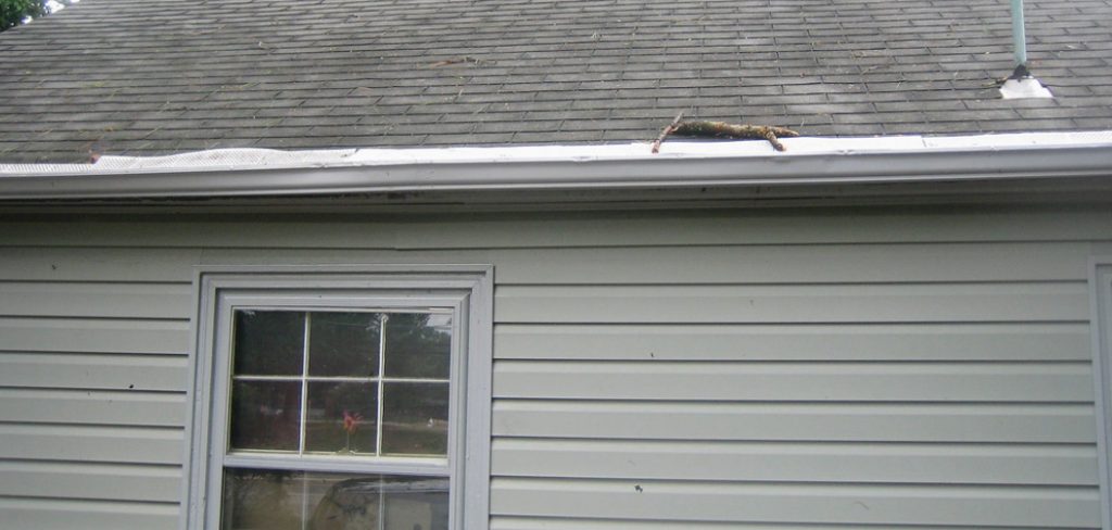 How to Repaint a Shed