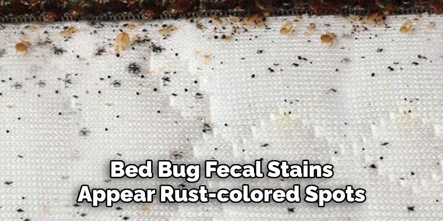 Bed Bug Fecal Stains
Appear Rust-colored Spots