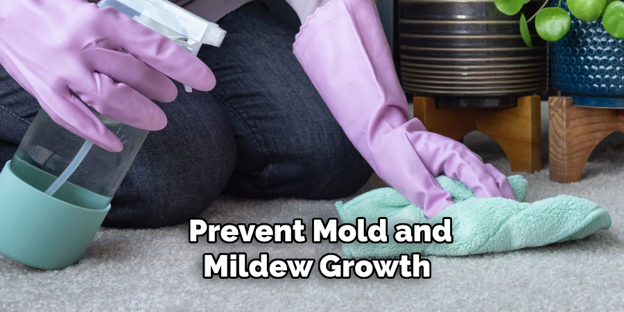 Prevent Mold and Mildew Growth