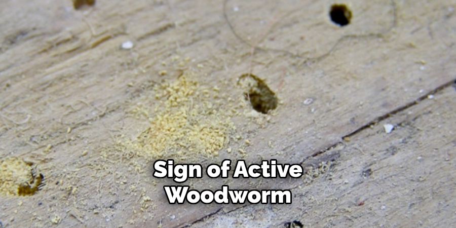 Sign of Active Woodworm
