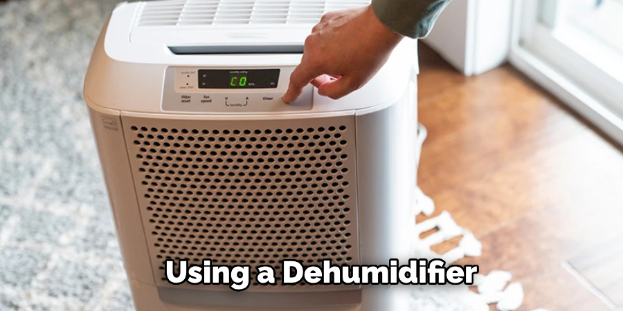 Using a Dehumidifier