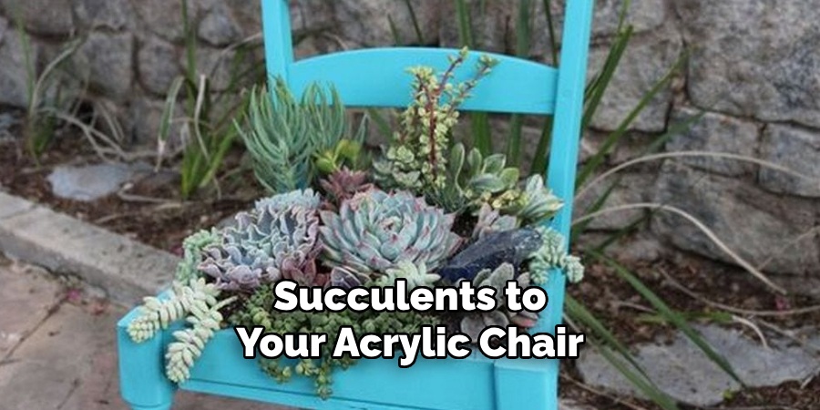 Succulents to 
Your Acrylic Chair