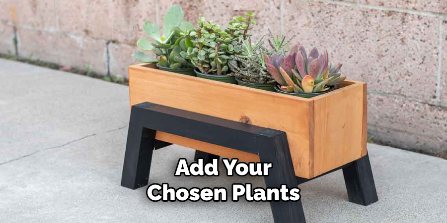 Add Your
 Chosen Plants