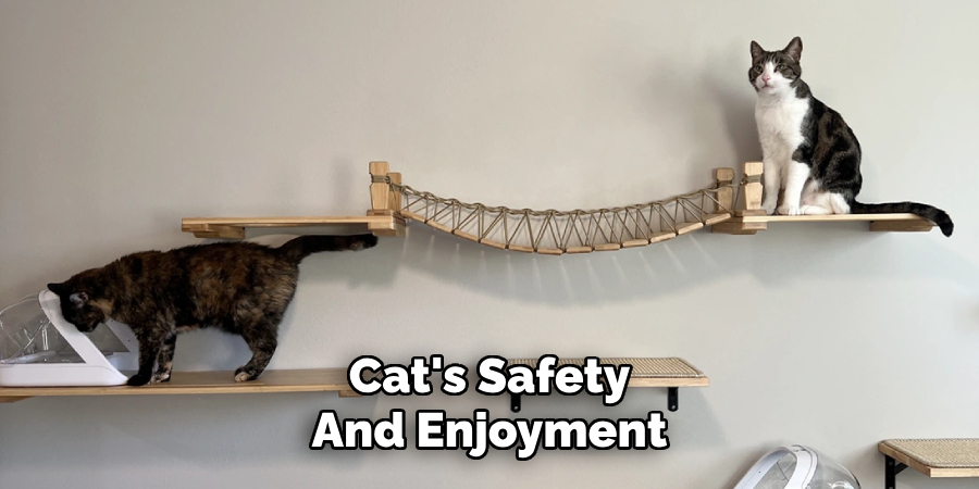 Cat's Safety 
And Enjoyment