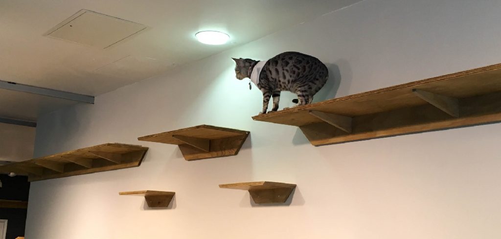 How to Make Cat Wall Shelves