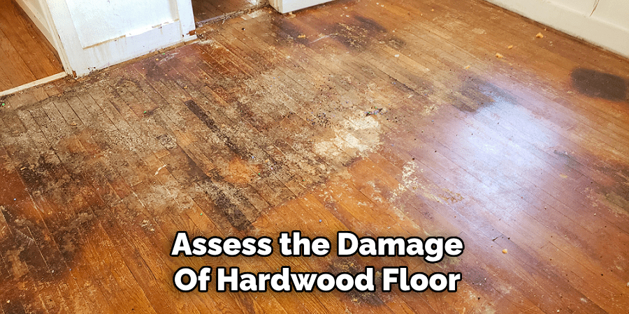 Assess the Damage
Of Hardwood Floor