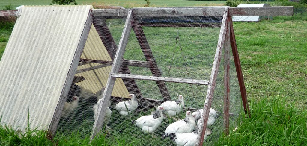 How to Build a Turkey Coop