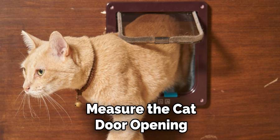 Measure the Cat Door Opening