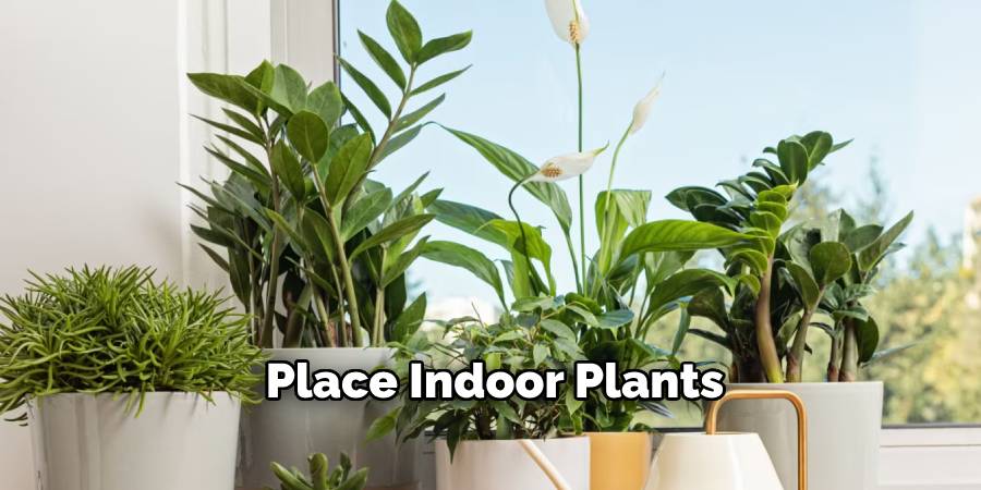 Place Indoor Plants