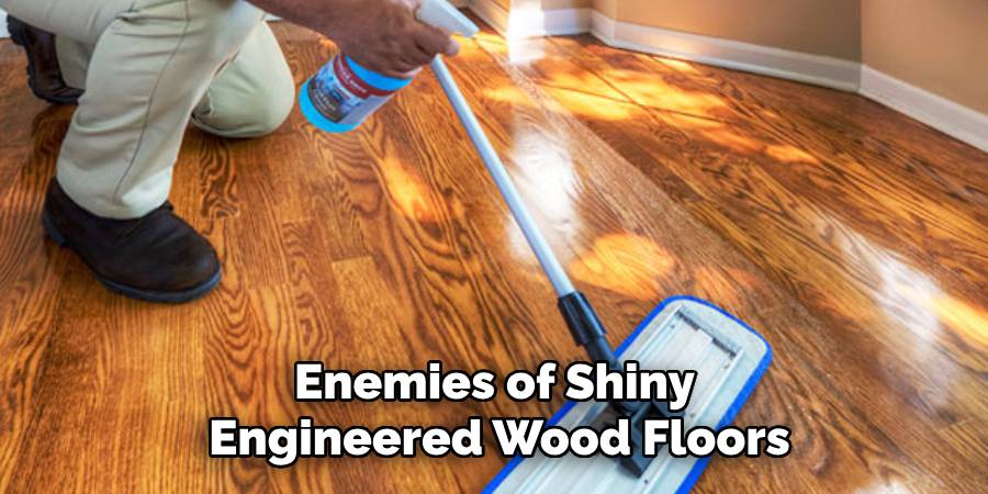 Enemies of Shiny
Engineered Wood Floors