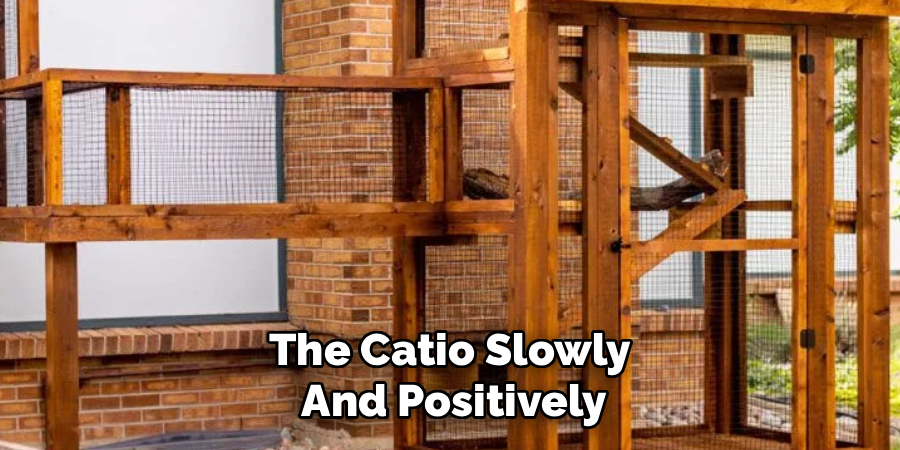 The Catio Slowly
And Positively